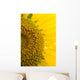 Sunflower Macro Wall Mural