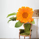 Calendula isolated on white Wall Decal