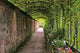 Garden Wall Decal Design 2
