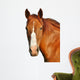Horses Head Wall Decal