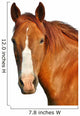 Horses Head Wall Decal
