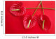 Anthurium Exotic Beautiful Red Flower Still Wall Mural