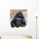 Female Gorilla Zoo Prague Wall Mural