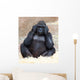 Female Gorilla Zoo Prague Wall Mural