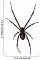 Black Widow Spider Wall Decal