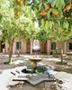 Orangen Wall Decal