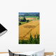 Crop circles Wall Mural