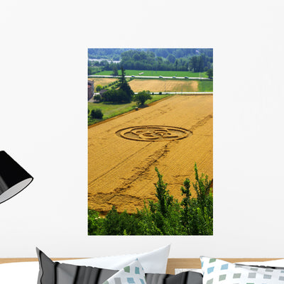 Crop Circles Wall Mural shown on a wall