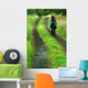 Solitary Wanderer Wall Decal