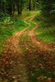 Forest Road Wall Decal Design 2