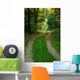 Forest Road Wall Decal Design 1