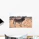 Zebra Wall Mural