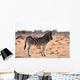 Zebra Wall Mural