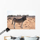 Zebra Wall Mural
