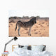 Zebra Wall Mural