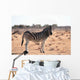 Zebra Wall Mural