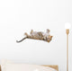 Young leopardus in studio Wall Decal