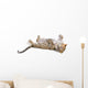 Young leopardus in studio Wall Decal