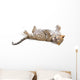 Young leopardus in studio Wall Decal