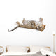 Young leopardus in studio Wall Decal