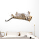Young leopardus in studio Wall Decal
