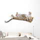 Young leopardus in studio Wall Decal