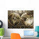 World map on old paper Wall Mural