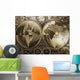 World map on old paper Wall Mural