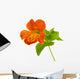 mimulus Wall Decal
