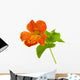mimulus Wall Decal