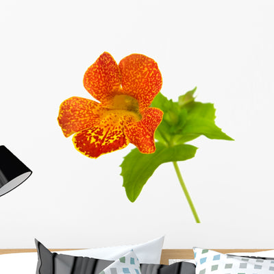 Mimulus Wall Decal shown on a wall