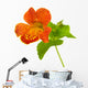 mimulus Wall Decal