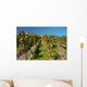 Vineyard Rhine Wall Decal