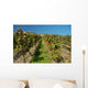 Vineyard Rhine Wall Decal