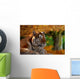 Bengal Tiger Wall Mural