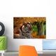 Bengal Tiger Wall Mural