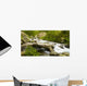 Mountain Torrent Wall Decal