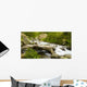 Mountain Torrent Wall Decal