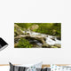 Mountain Torrent Wall Decal