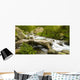 Mountain Torrent Wall Decal