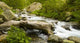 Mountain Torrent Wall Decal