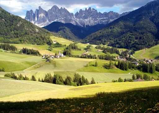 Funes Wall Decal