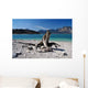 Walchensee Wall Decal