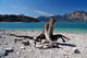 Walchensee Wall Decal
