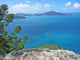 Hamilton Island Wall Decal