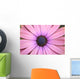 Daisy up and Personal Wall Mural