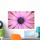 Daisy up and Personal Wall Mural