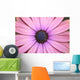 Daisy up and Personal Wall Mural