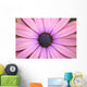 Daisy up and Personal Wall Mural