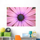 Daisy up and Personal Wall Mural